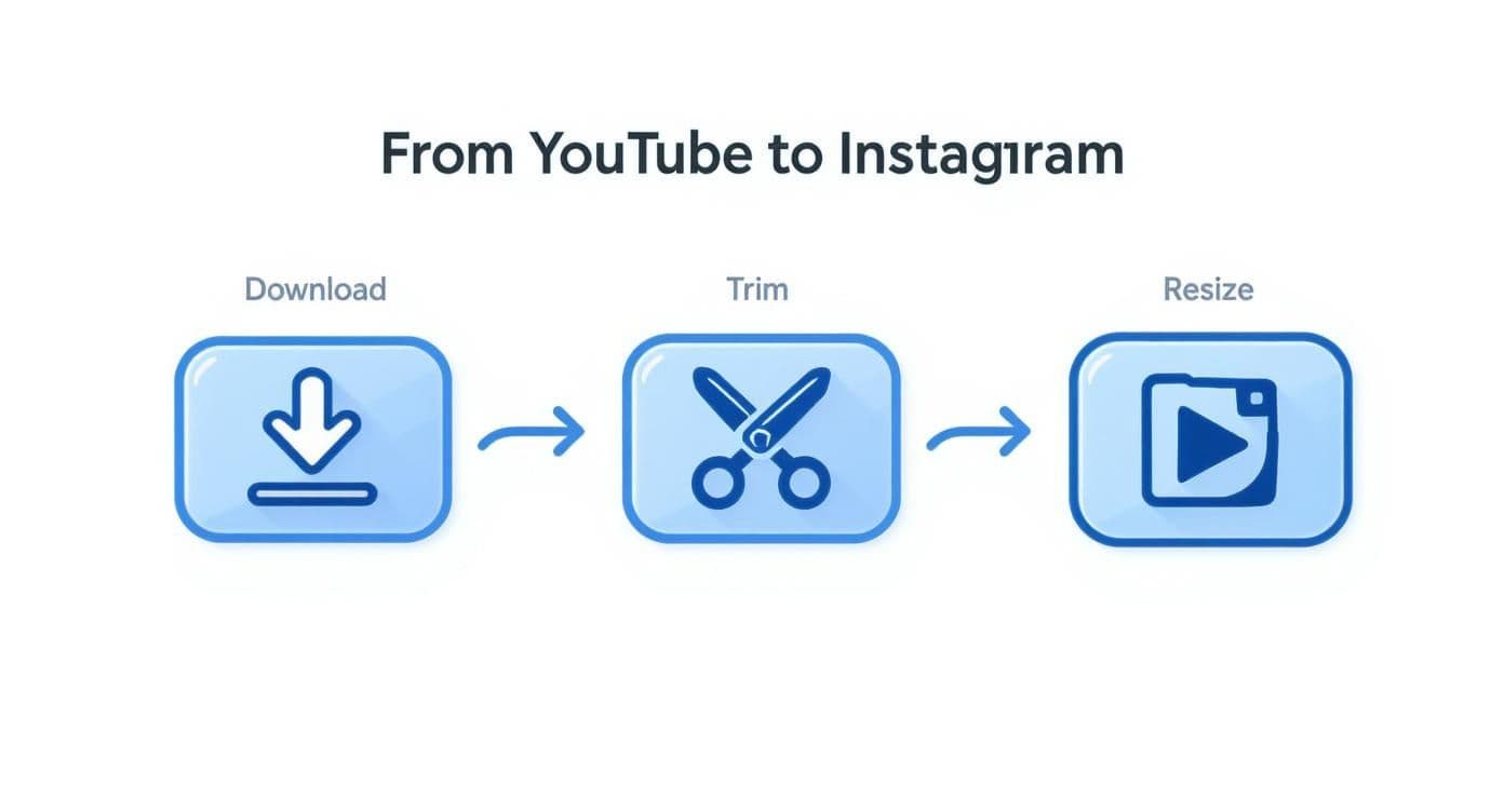 Infographic about post youtube video to instagram
