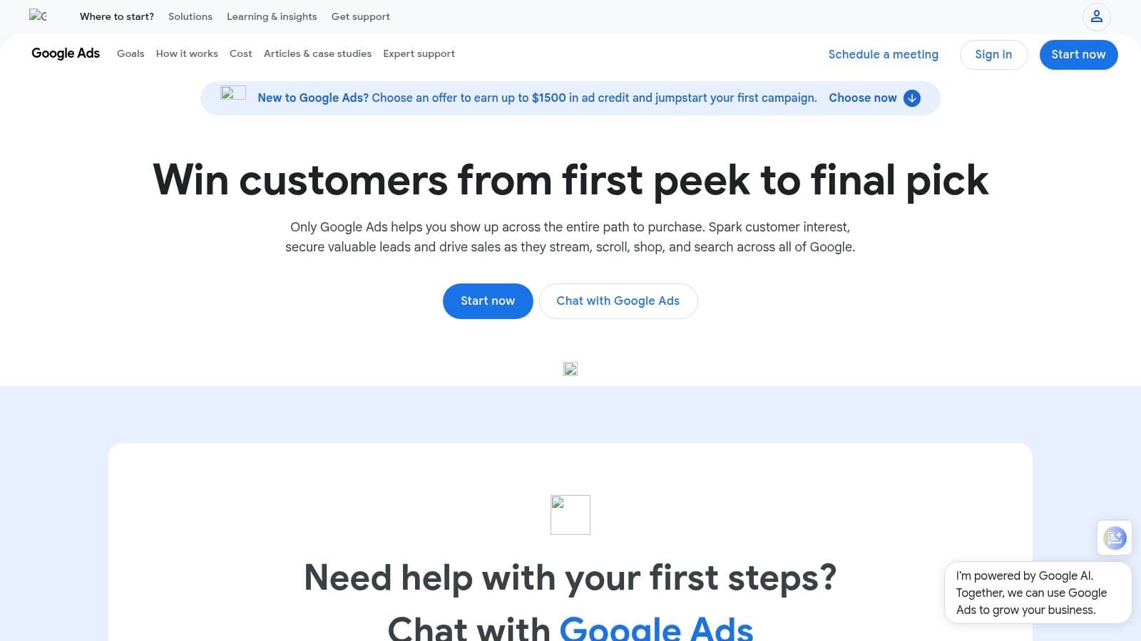 Google Ads (Performance Max / Automated Assets)