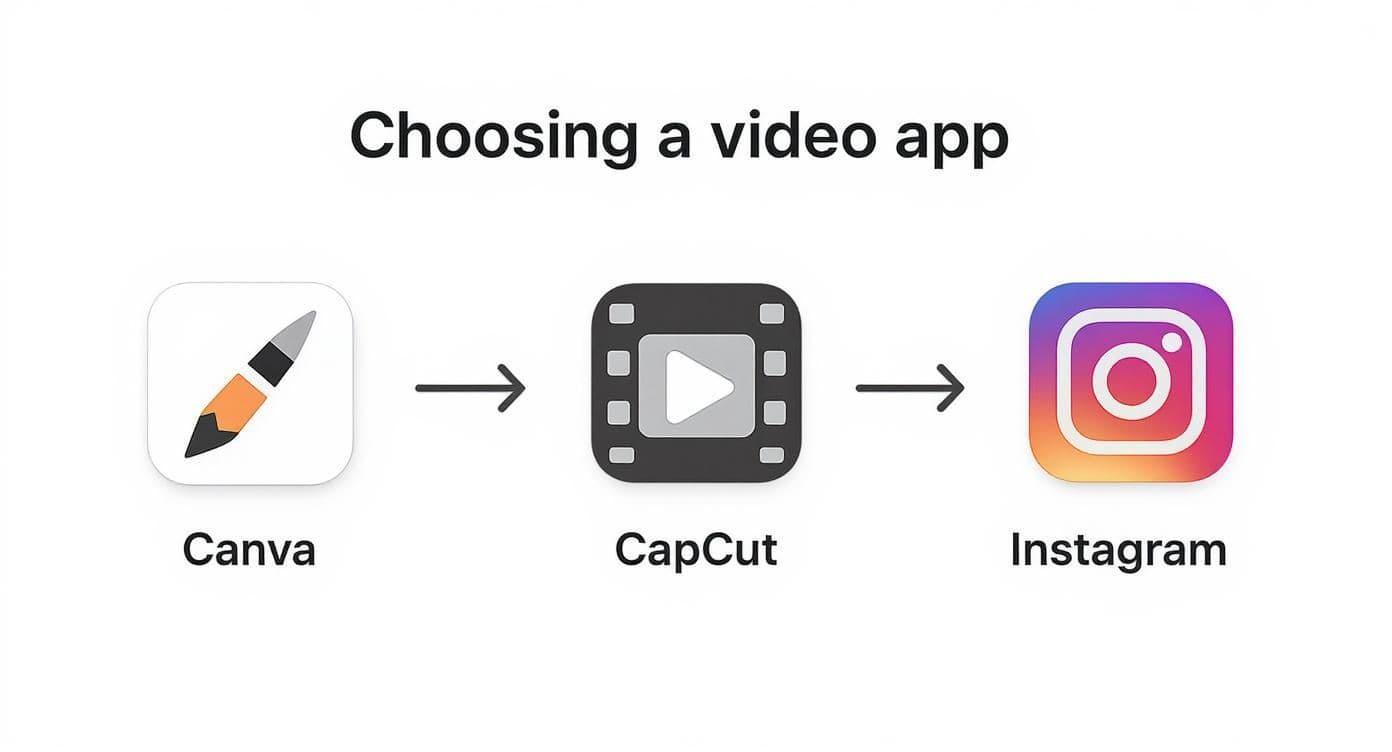 Infographic showing the process flow for choosing a video app, starting with Canva for templates, then CapCut for trends, and Instagram for quick creation.